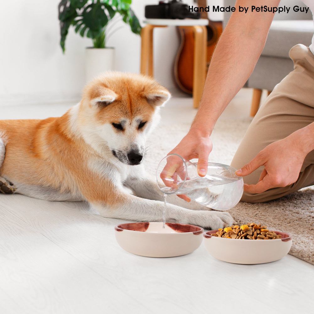 PetSupply Guy Short Handmade Ceramic Dog Bowl-8