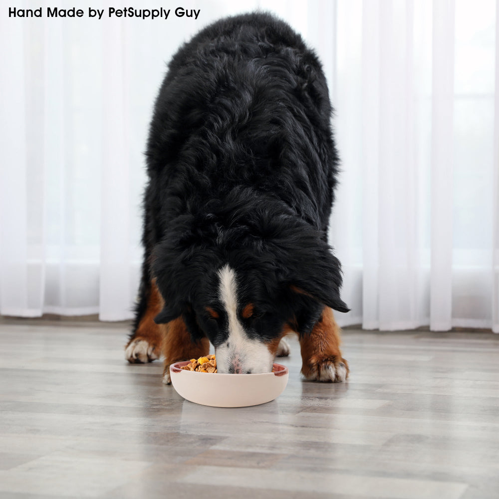 PetSupply Guy Short Handmade Ceramic Dog Bowl-9