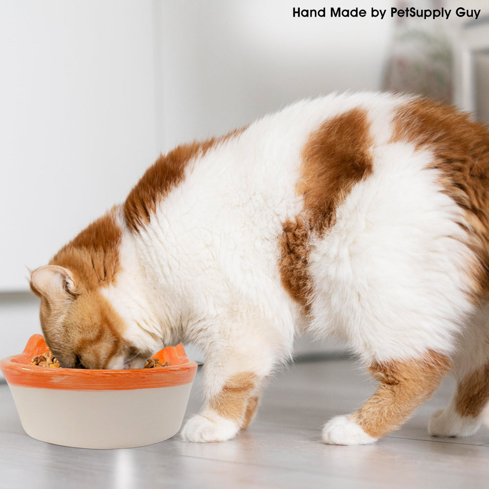 Shopify Cat Bowl Round Plain all colors-Lifestyle2